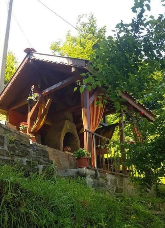 Вила Керенски Ribaritsa Exterior foto
